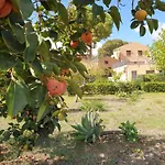 Baglio Fico